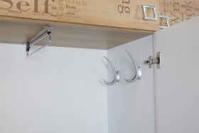 Шкаф для одежды «Оксфорд» (Ривьера/Белый с рисунком) в Камне-на-Оби - kamen-na-obi.katalogmebeli.com | фото 7